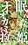 Numurenu Mori no Hime, Ookami wo Daku