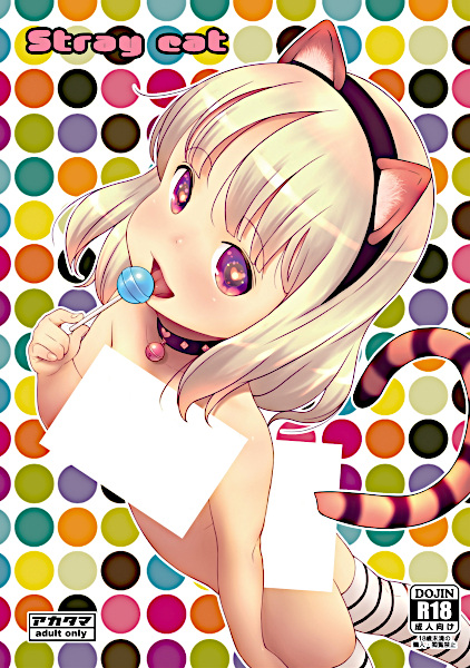 Бездомная кошечка