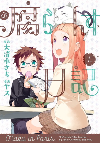 Французский дневник