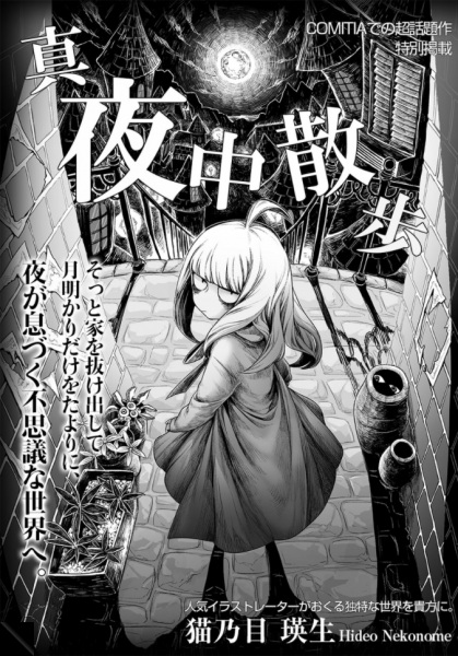 Полуночная прогулка