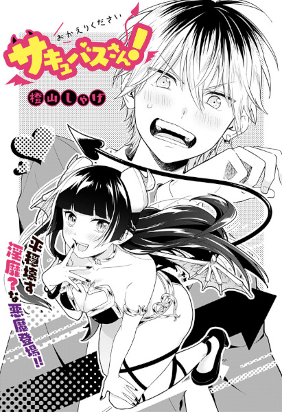 Пожалуйста, иди домой, суккуб