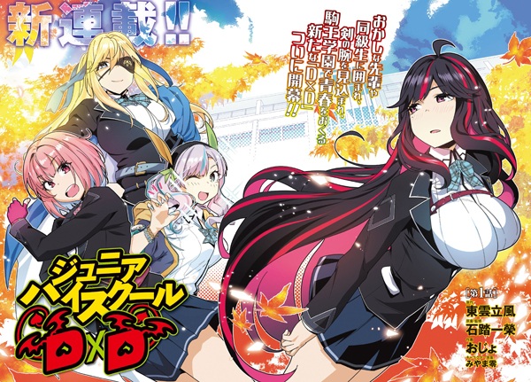 Средняя школа DxD