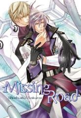 Отсутствующая дорога