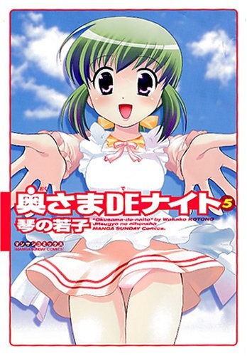 Ночная супруга