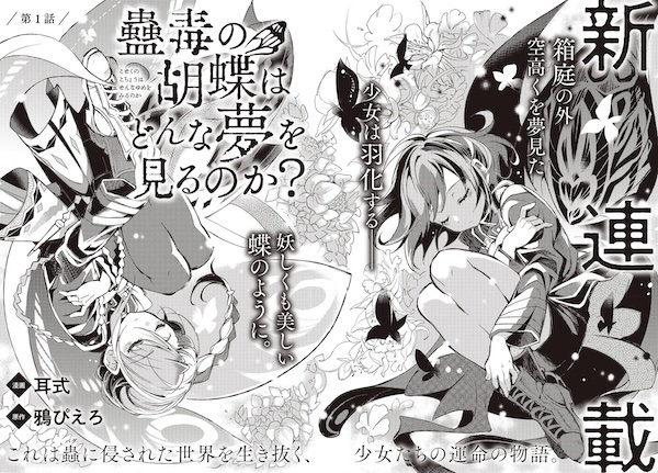 О чём мечтает ядовитая бабочка?