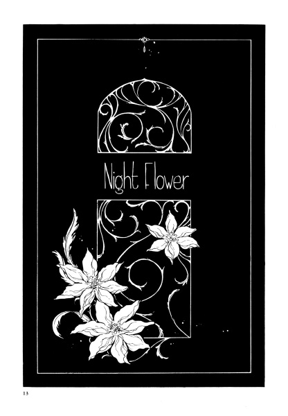 Ночной цветок