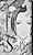 S no Shouzou