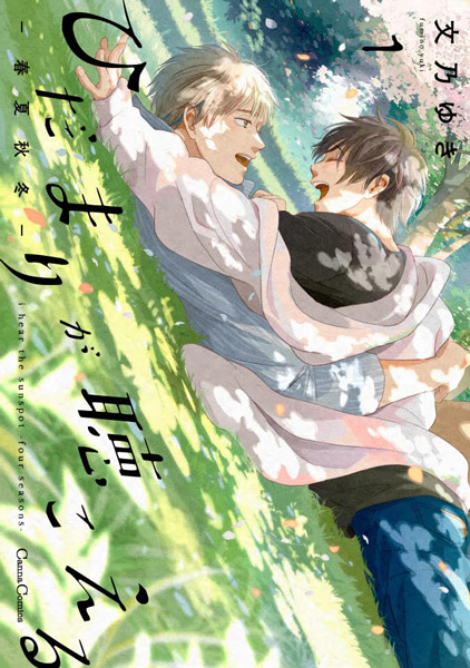 Я слышу солнечные вспышки: Четыре сезона