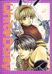 Белые ромашки