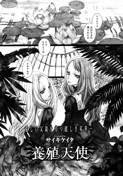 Разведение ангелов