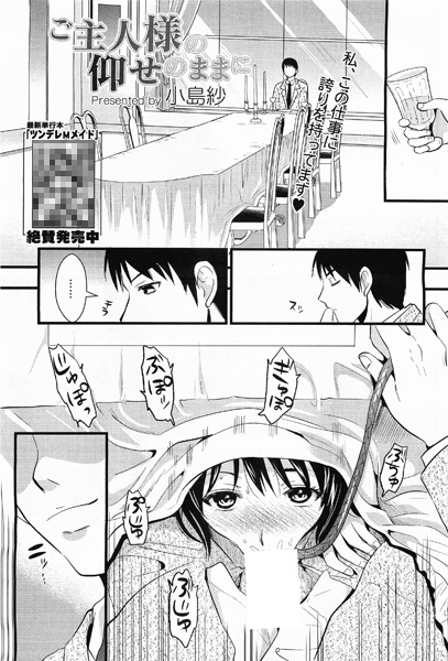 Как прикажет хозяин