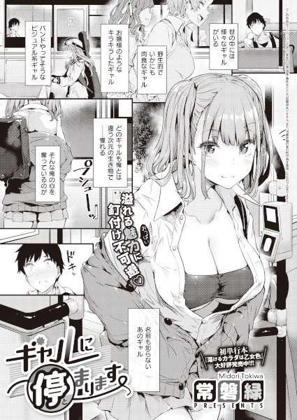 Следующая остановка — гяру