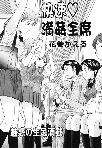 В скором поезде