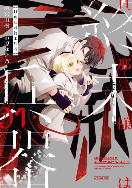 Dannasama wa Shuumatsu Heiki