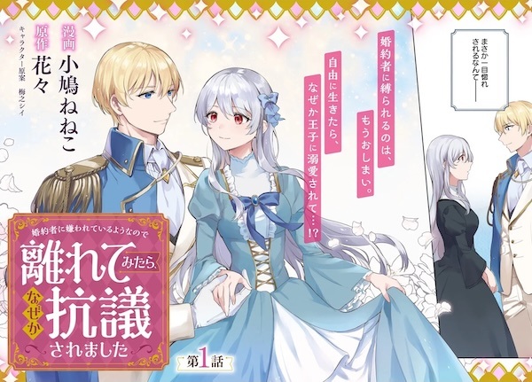 Konyakusha ni Kirawaretiru You nanode Hanaretemitara, Nazeka Kougi saremashita