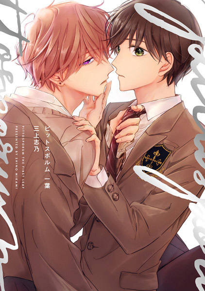 Питтоспорум