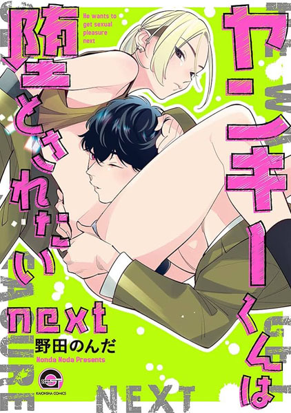 Yankee-kun wa Otosaretai: next