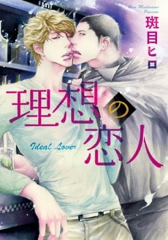 Идеальный любовник