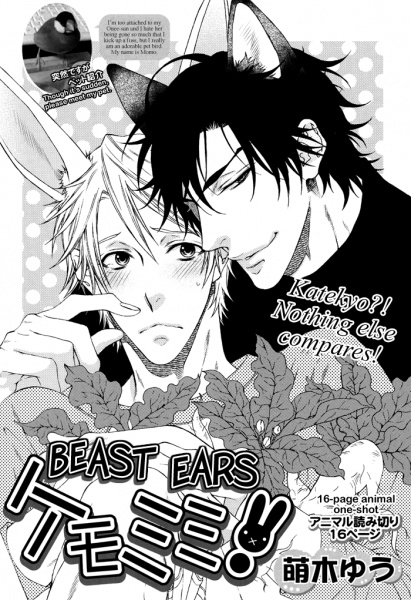 Звериные ушки