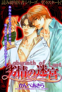 Лабиринт страсти