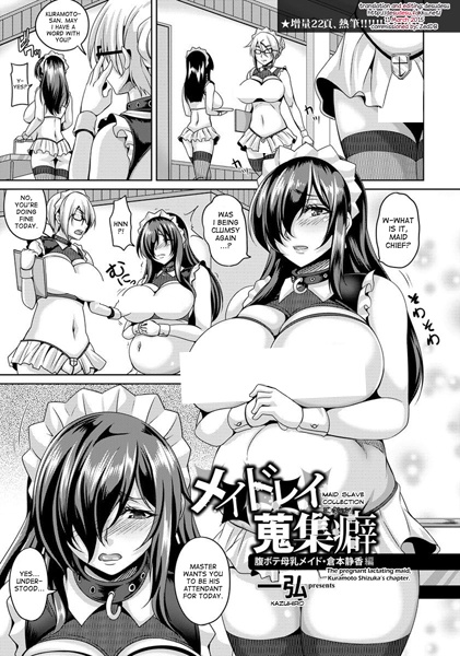 MaiDorei Shuushuuheki