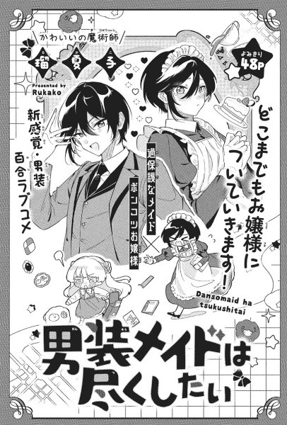 Dansou Maid wa Tsukushitai