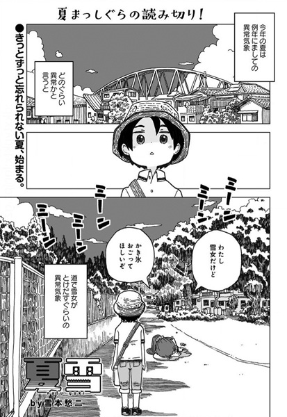 Летний снег