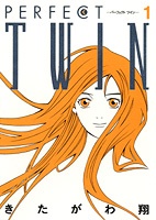 Идеальный двойник