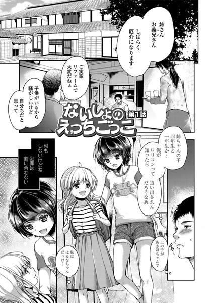 Naisho no Ecchi Gokko