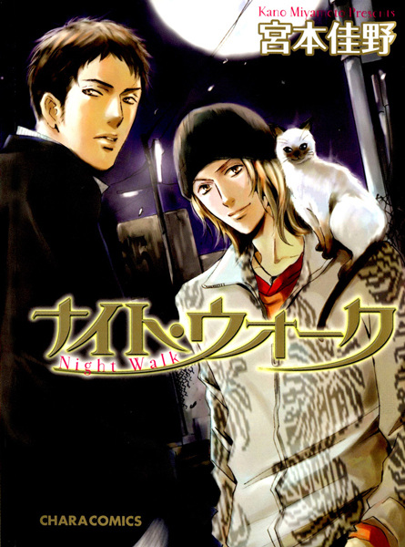 Ночная прогулка