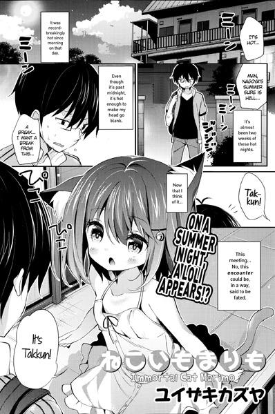 Бессмертный кот Маримо