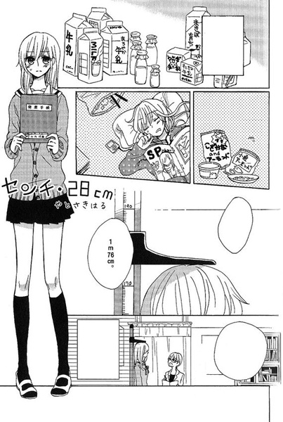 Двадцать восемь сантиметров