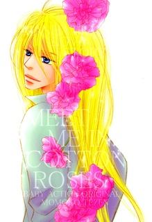 История любви на Манхэттене: Встретимся в хлопковых розах