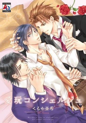 Любимый консьерж