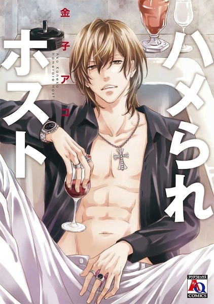 Гостеприимный хост