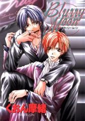 Расплывчатая луна