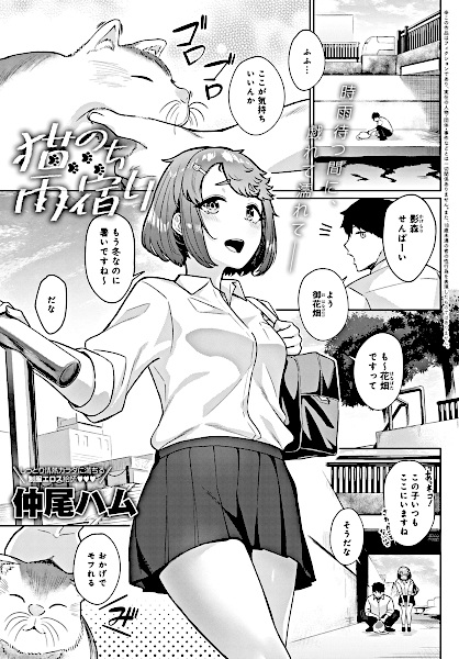 Neko Nochi Amayadori