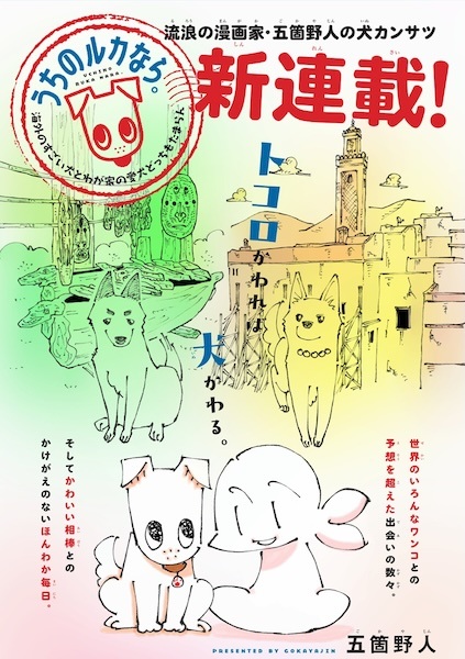 Uchi no Ruka nara. Kaigai no Sugoi Inu to Wagaya no Aiken Docchi mo Tamaran