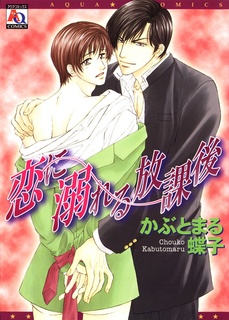 Дурман любви после школы