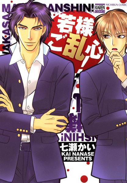 Помешательство молодого господина