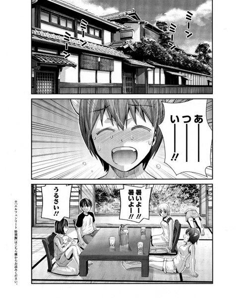 Эльфийская песнь: Дополнительное издание