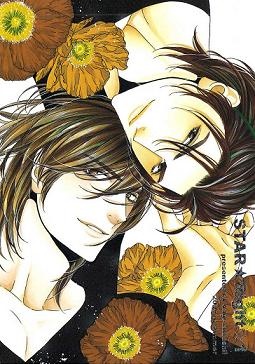 Привилегия звезды