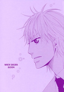 Когда цветёт сакура