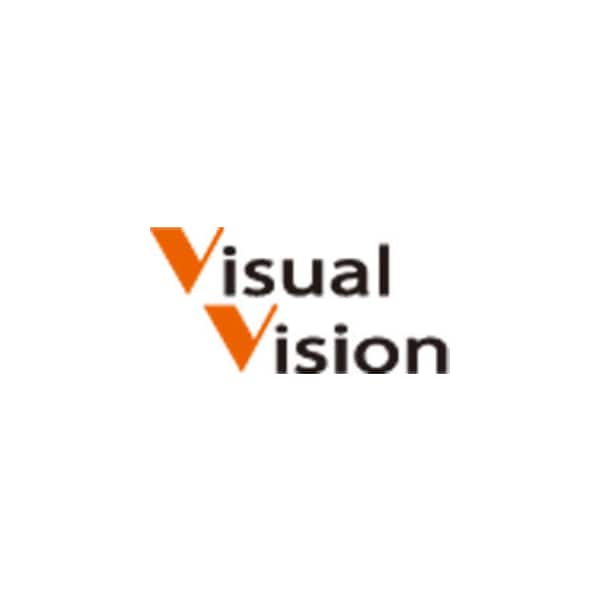 Visual Vision