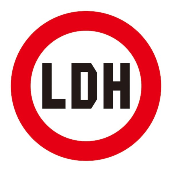 LDH Japan