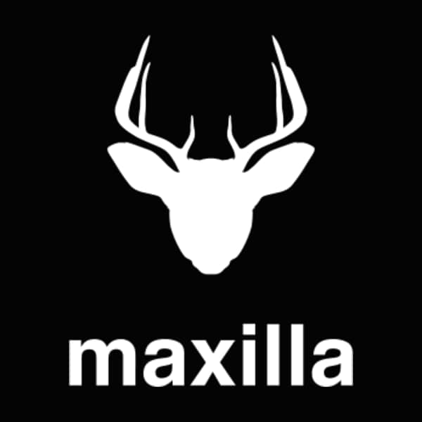 Maxilla