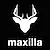 Maxilla
