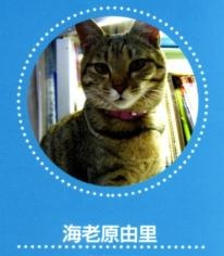 Юри Эбихара