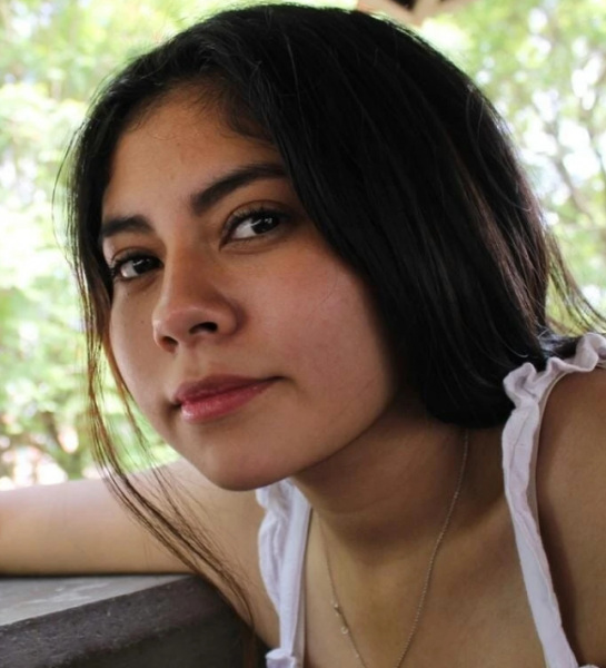 Банни Вильчис