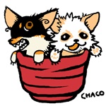 Сугуро Тяямати